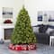 6ft. Pre-Lit Green Scotch Pine Artificial Christmas Tree with Clear LED Lights